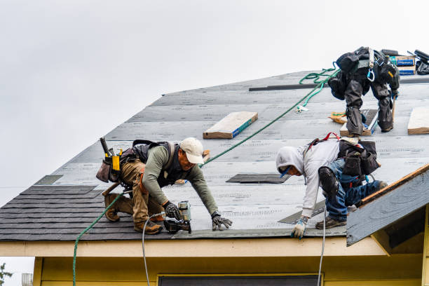Professional Roofing technician working in Poplar Ridge, NY